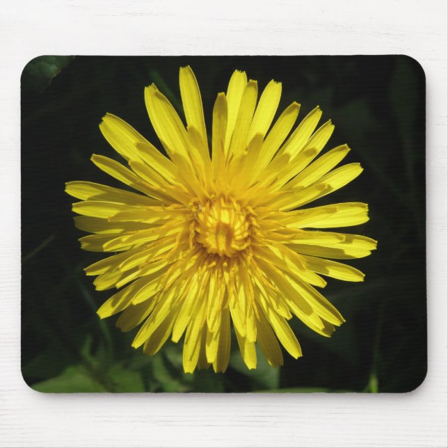 Dandelion Mousepad (Front)