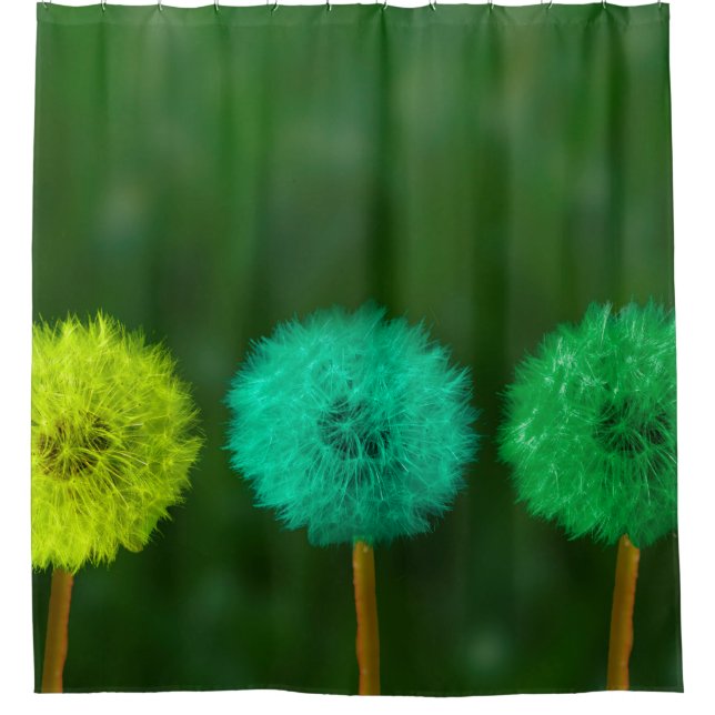 Dandelion multicoloured coloured shower curtain (Front)