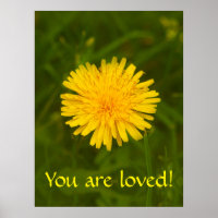 Dandelion mystery. You are loved!