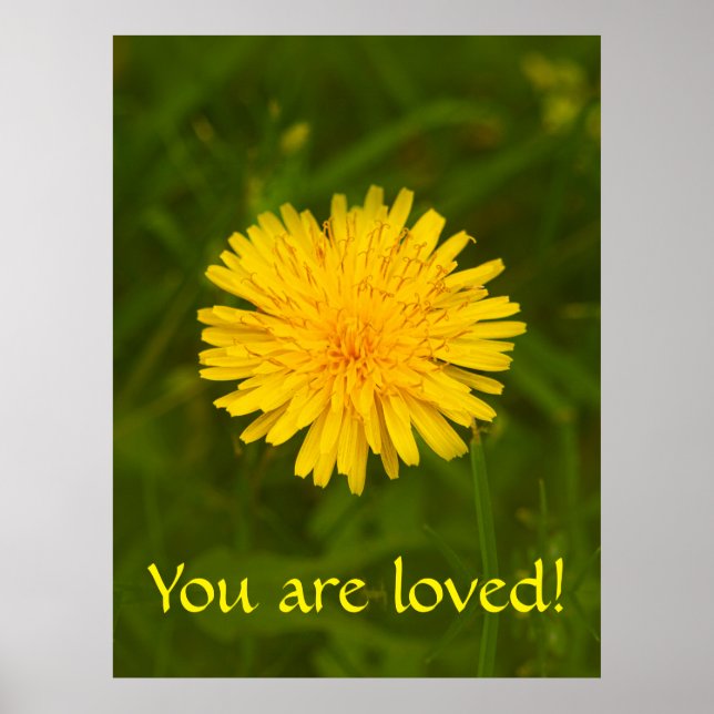Dandelion mystery. You are loved! Poster (Front)