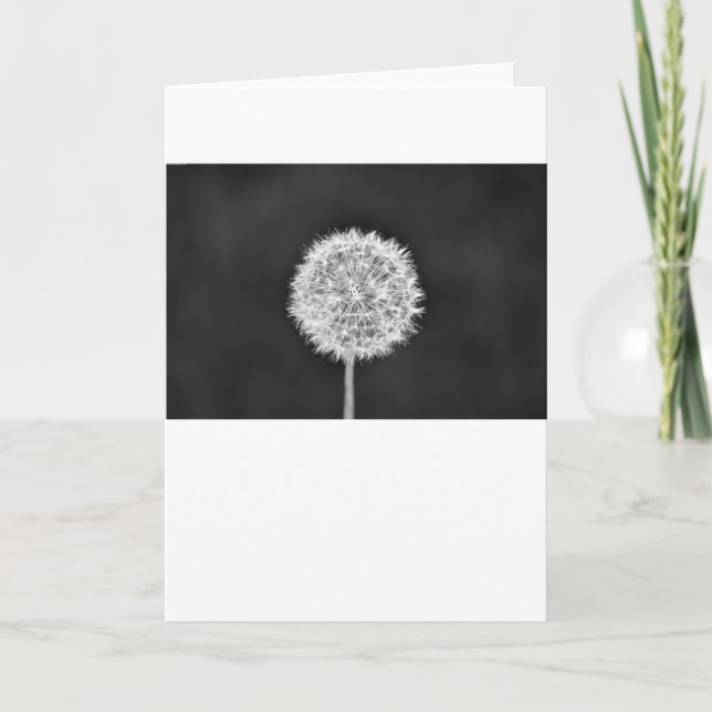 Dandelion - Noir, card (Front)