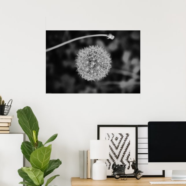 Dandelion - Noir, Poster (Home Office)