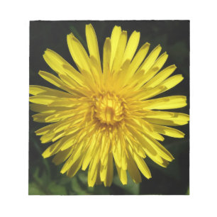 Dandelion Notepad