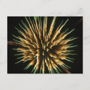 Dandelion on Fire Postcard