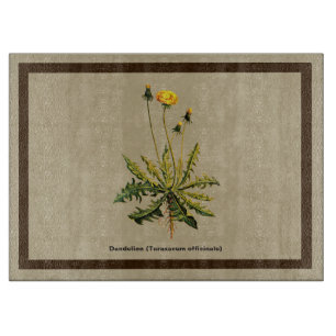 Dandelion On Old Paper Cutting Board