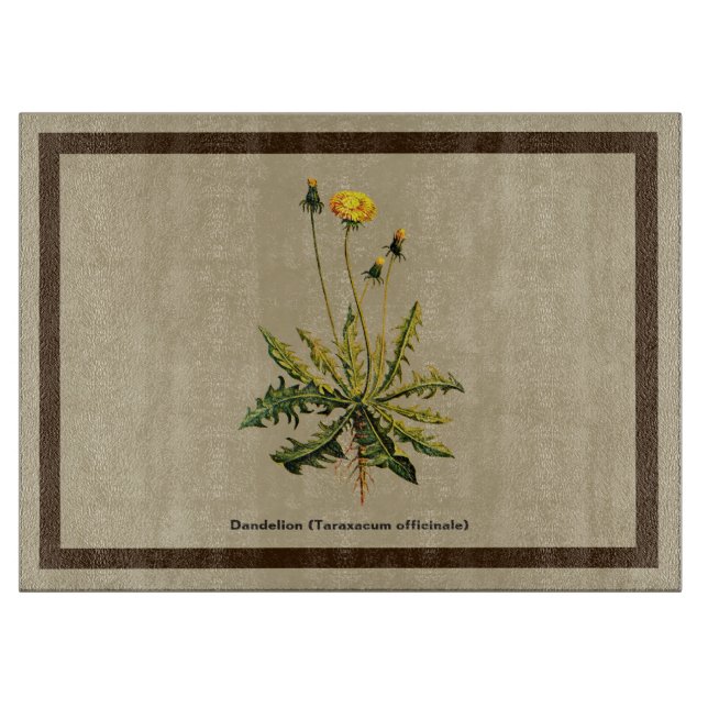 Dandelion On Old Paper Cutting Board (Front)