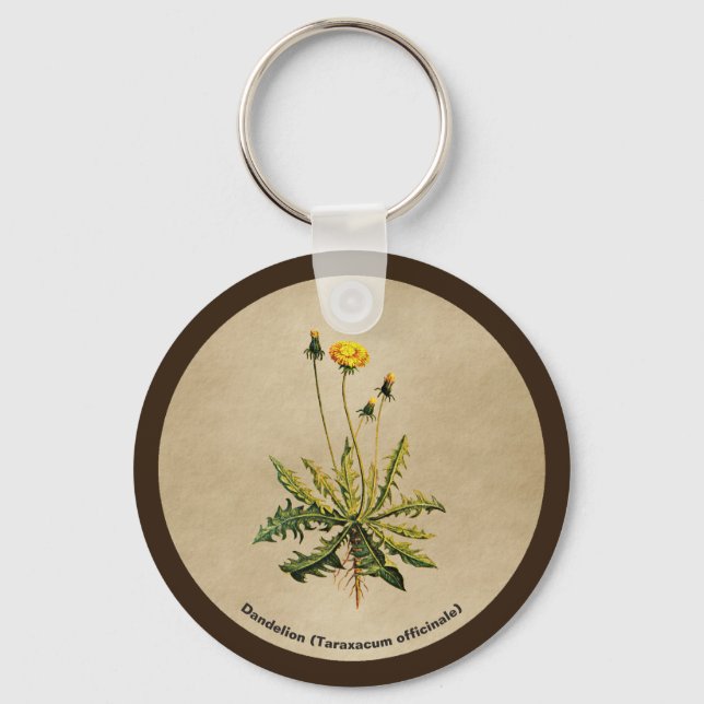 Dandelion On Old Paper Key Ring (Front)