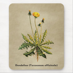 Dandelion On Old Paper Mouse Mat