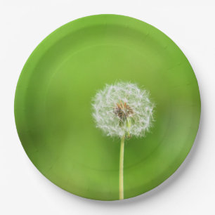 Dandelion Paper Plate