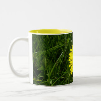 Dandelion, Pissenlit Two-Tone Coffee Mug