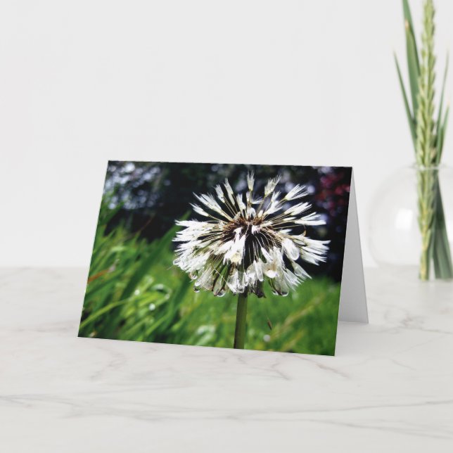 Dandelion Poof with Dew Poetry of Nature Card (Front)
