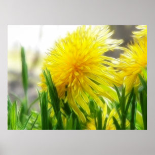 Dandelion Portrait Poster