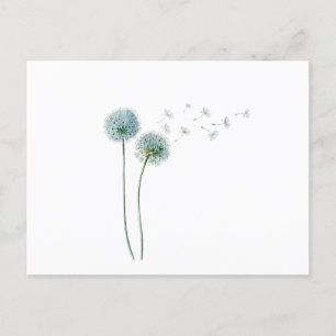 Dandelion Postcard