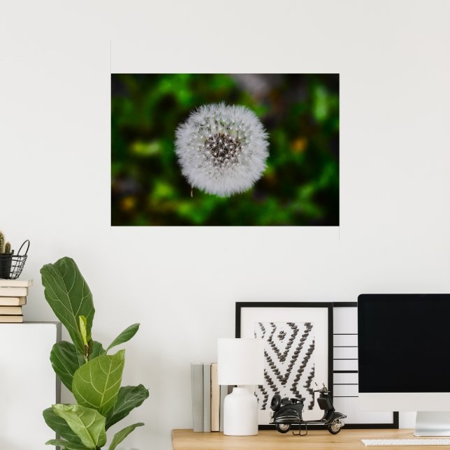 Dandelion, Poster (Home Office)
