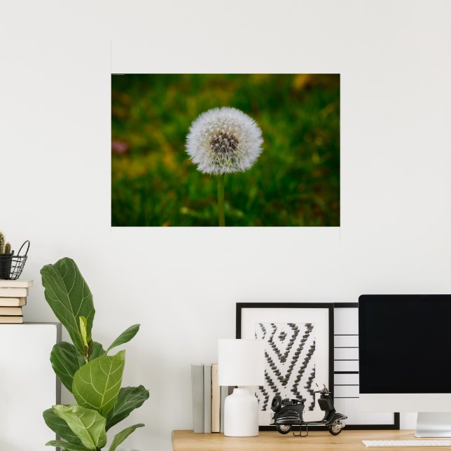 Dandelion, Poster (Home Office)