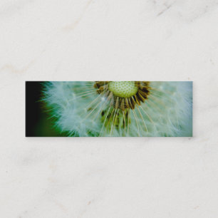 Dandelion Profile Card