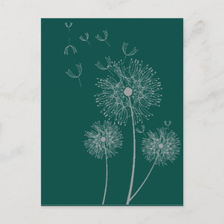 Dandelion pure modern flower art postcard