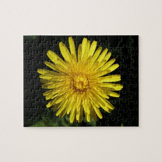 Dandelion Puzzle (Horizontal)