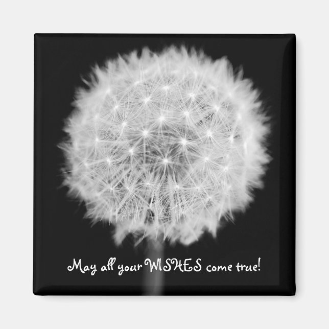 Dandelion Refrigerator magnet (Front)