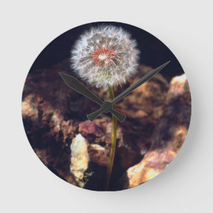 Dandelion Round Clock