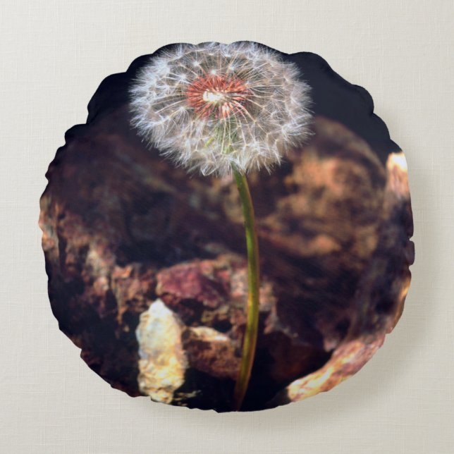 Dandelion Round Cushion (Front)