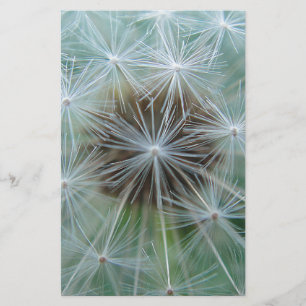 Dandelion sample stationery