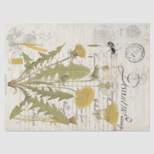 Dandelion Script Decoupage Tissue Sheets Tissue Paper