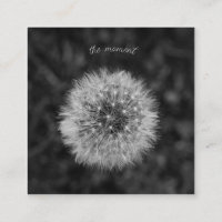Dandelion seed head. Be Present In The Moment.