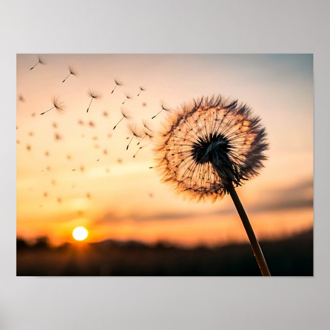 Dandelion seed head blowing poster (Front)