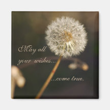 Dandelion Seed Head in Brown Tones 
