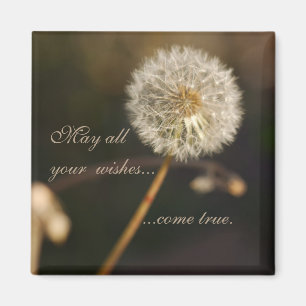 Dandelion Seed Head in Brown Tones  Magnet