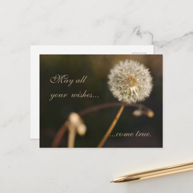 Dandelion Seed Head in Brown Tones  Postcard (Front/Back In Situ)