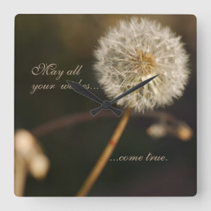 Dandelion Seed Head in Brown Tones  Square Wall Clock