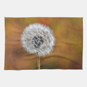 Dandelion seed head in fall tea towel