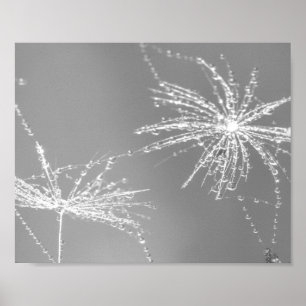 Dandelion Seed With Waterdrop Wall Art 3