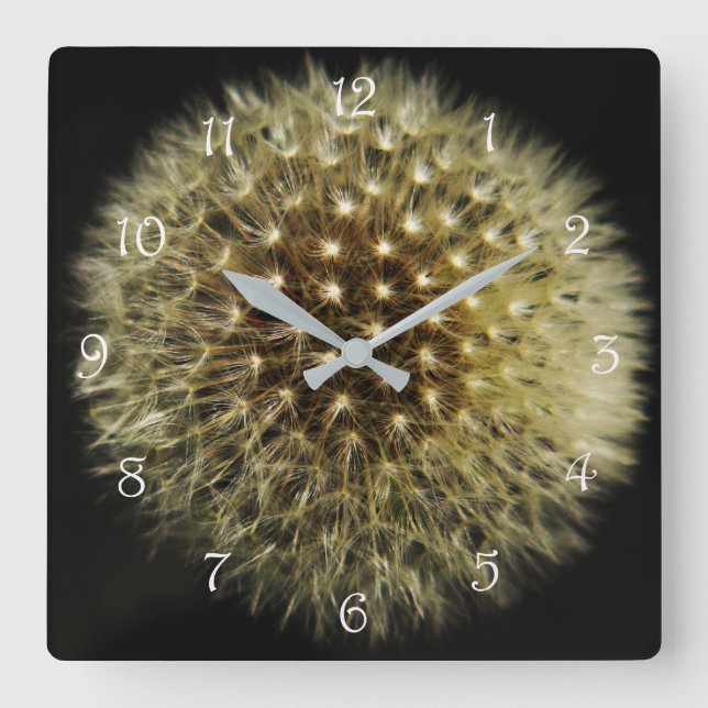 Dandelion Seedhead White Script Numbers wc Square Wall Clock (Front)