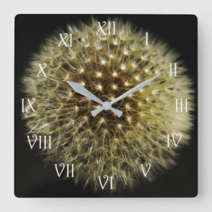 Dandelion Seedhead White Script Roman wccna Square Wall Clock