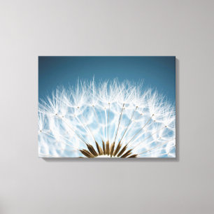 Dandelion Seeds Canvas Print