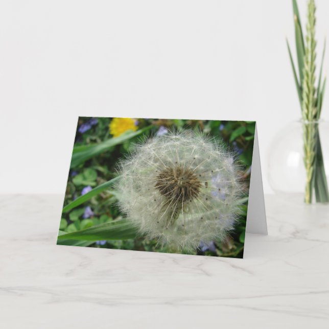 Dandelion Seeds Card (Front)