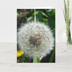 Dandelion Seeds Card