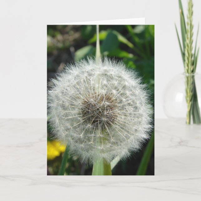 Dandelion Seeds Card (Front)