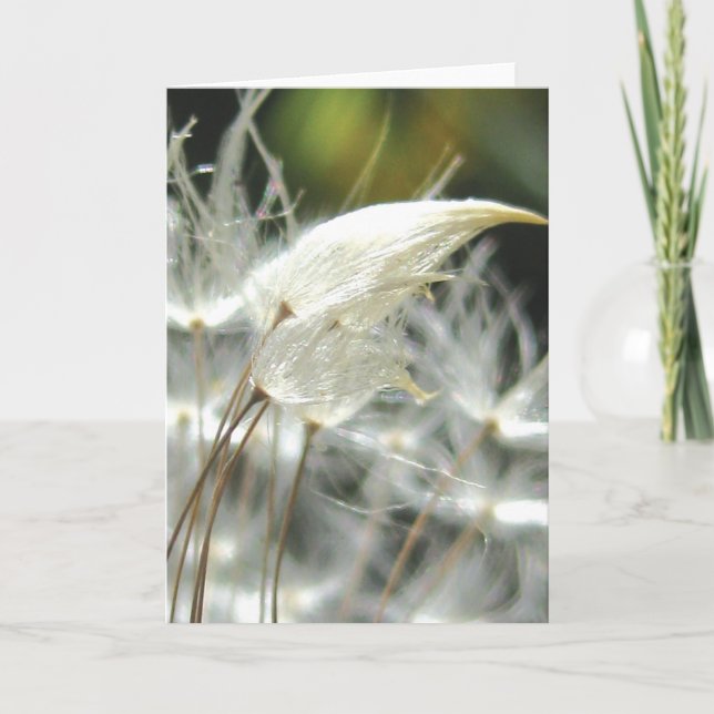 Dandelion Seeds Embrace, Stories in Nature Poetry Card (Front)