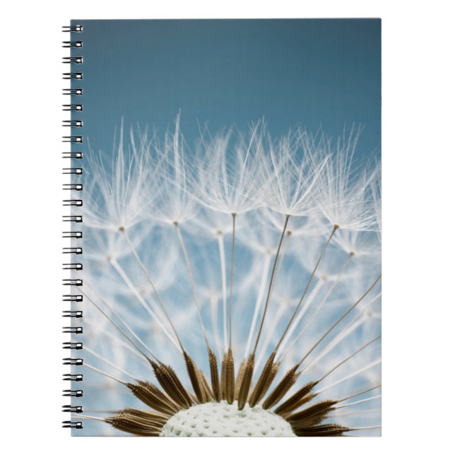 Dandelion Seeds Notebook (Front)
