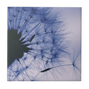 Dandelion Seeds Tile