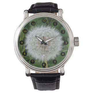Dandelion Seeds Watch