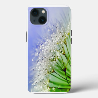 Dandelion Seeds with Dew Droplets iPhone 13 Case