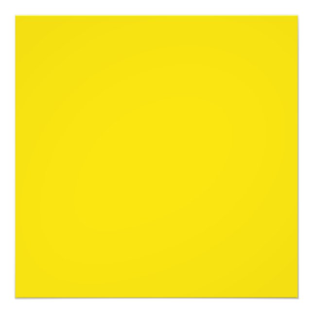 Dandelion (solid colour)  photo print (Front)