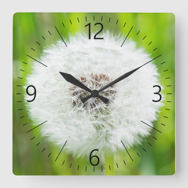 Dandelion Square Wall Clock (Front)
