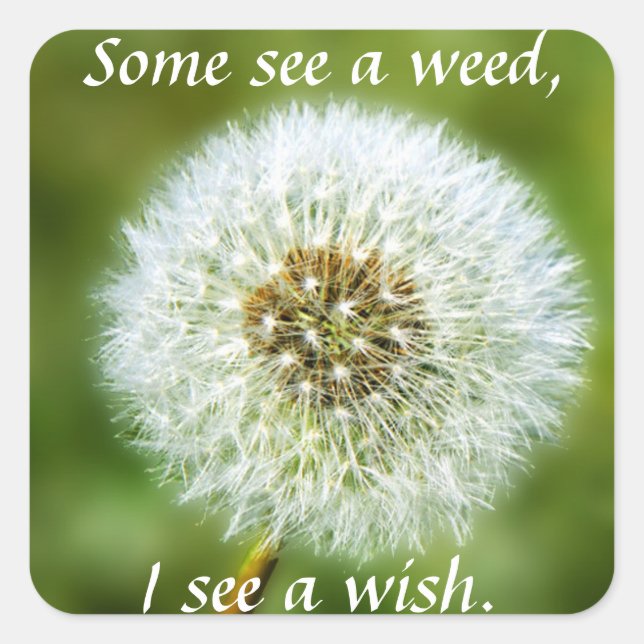 Dandelion Sticker - Some See a Weed I see a wish (Front)