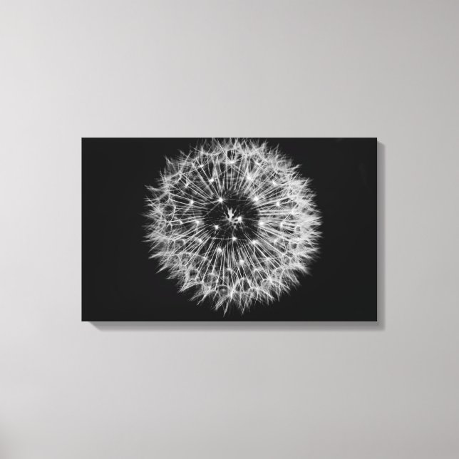 Dandelion Stretched Canvas Print (Front)